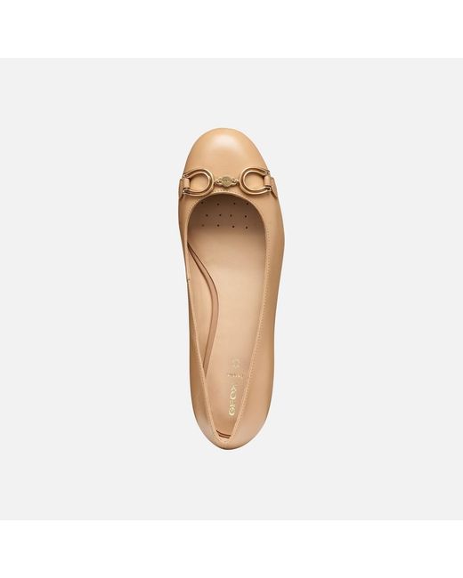 Geox Natural Virnilisa B