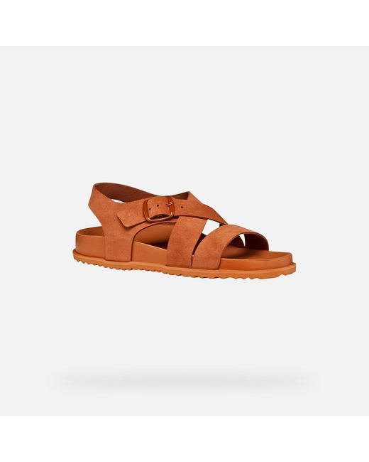 Geox Brown Sandybett
