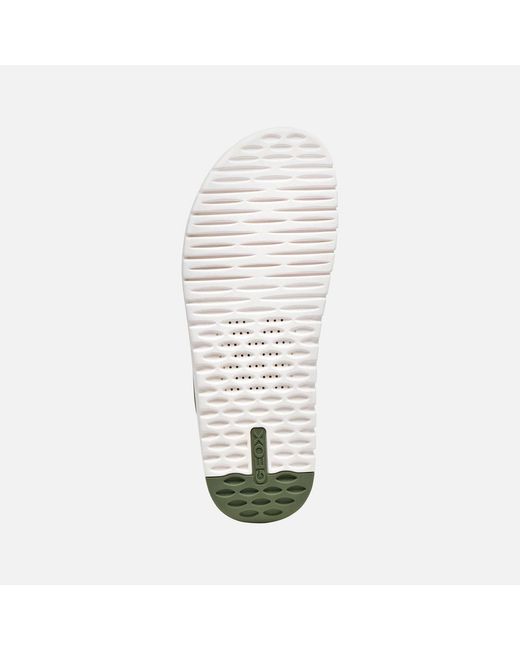 Geox Green Flextride S for men