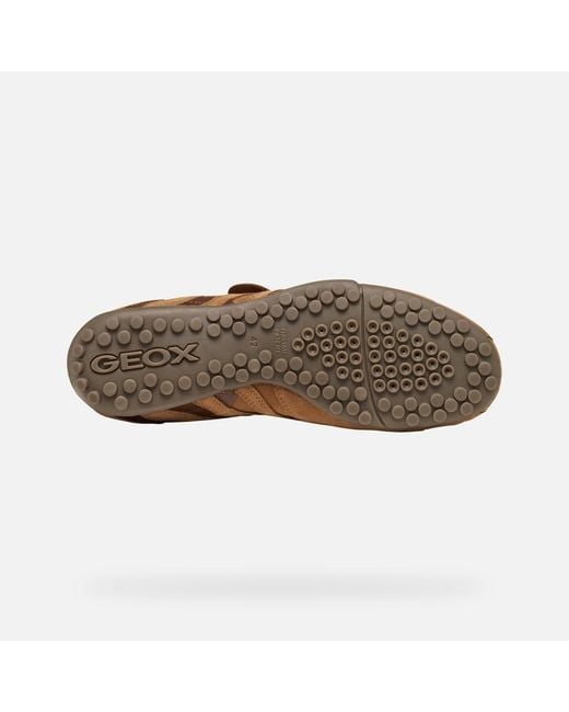 Geox Brown Snake for men