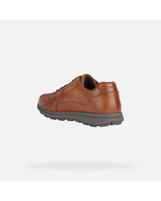 Geox Brown Spherica Ec12 for men