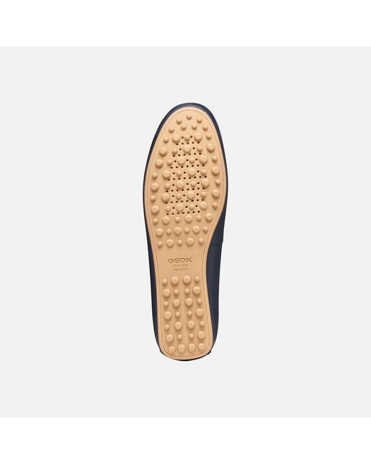 Geox Blue Kalistena