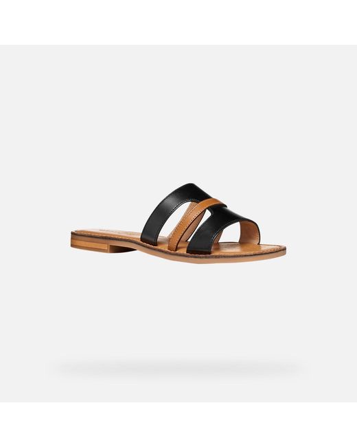 Geox Brown Maddalusia C