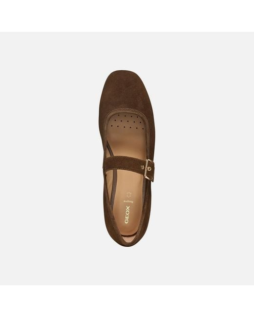 Geox Brown Azlea