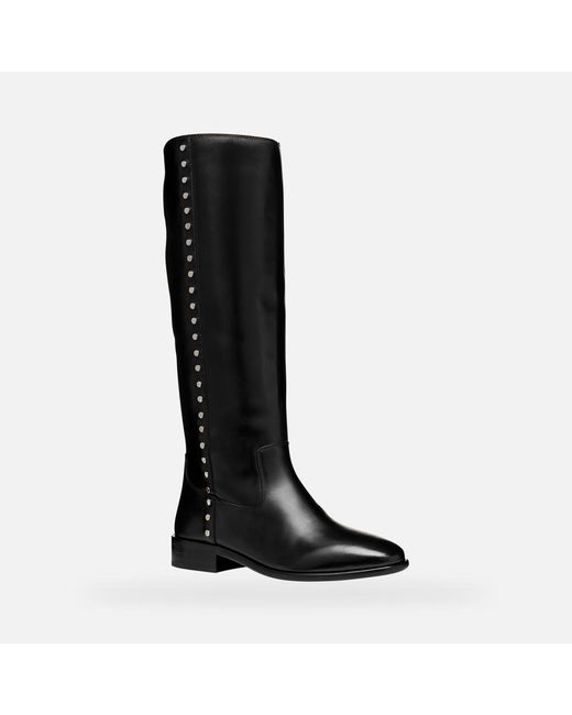 Geox Black Eliebeth