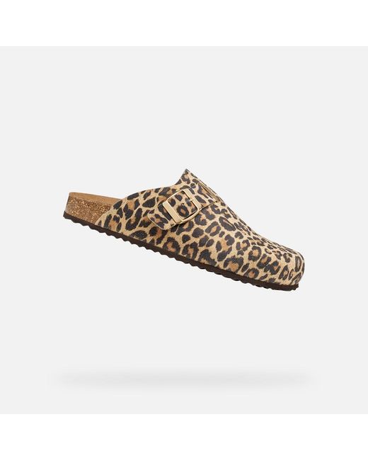 Geox Brown Brionia R