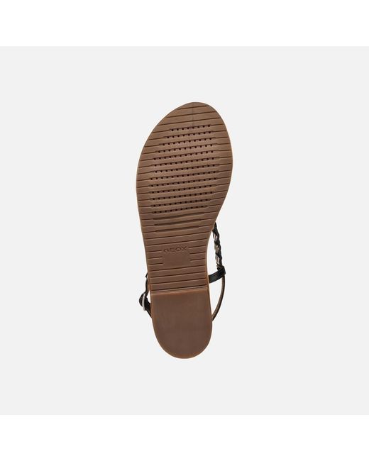 Geox Brown Sozy S