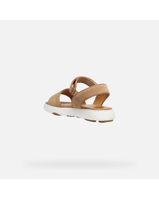 Geox Metallic Nebula 2.0 C S