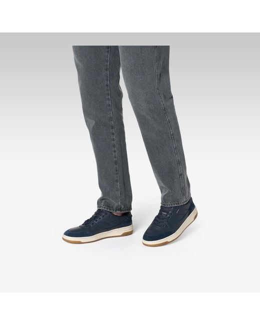 Geox Blue Sedral Court for men