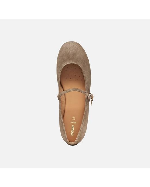 Geox Gray New Palmaria