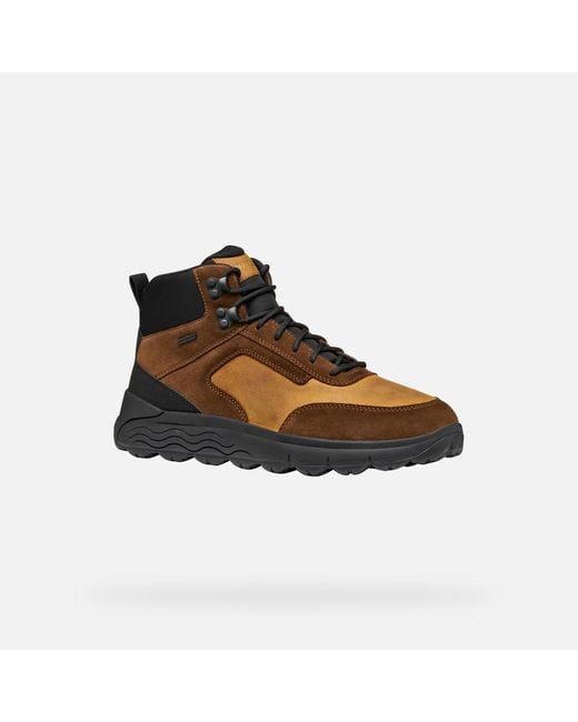 Scarpe Spherica 4X4 Abx Uomo di Geox in Brown da Uomo
