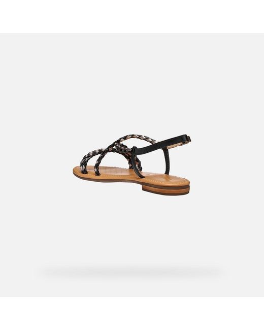 Geox Brown Sozy S