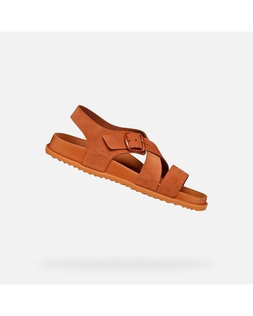 Geox Brown Sandybett