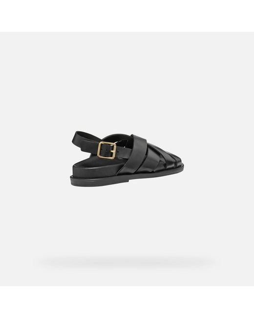 Geox Black Adelash
