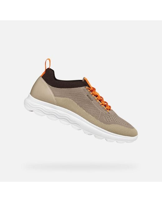 Geox Schuhe Spherica Herr in Brown für Herren