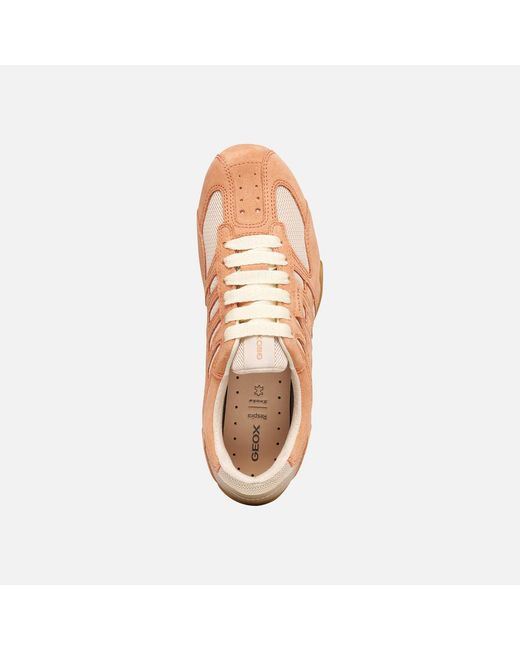 Geox Pink Snake Original