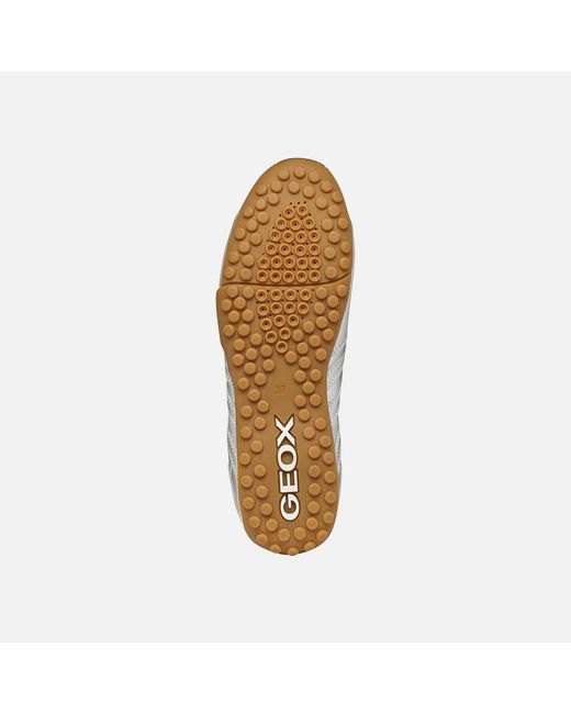 Geox White Snake Original