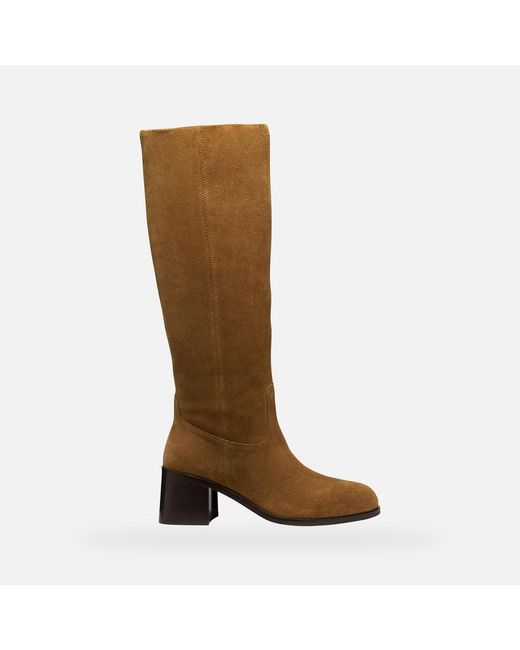 Geox Brown Alnoire