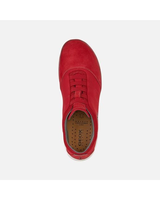 Geox Schuhe Nebula in Red für Herren