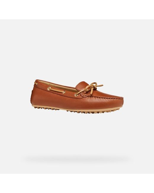 Geox Brown Kalistena