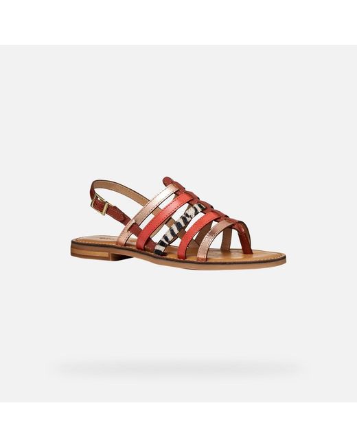 Geox Brown Maddalusia C