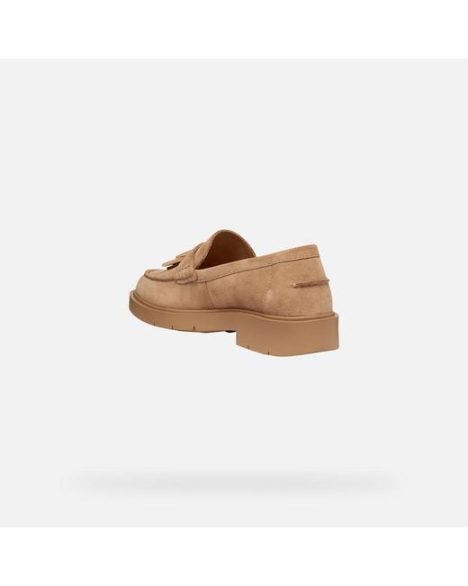 Geox Natural Spherica Ec1 B