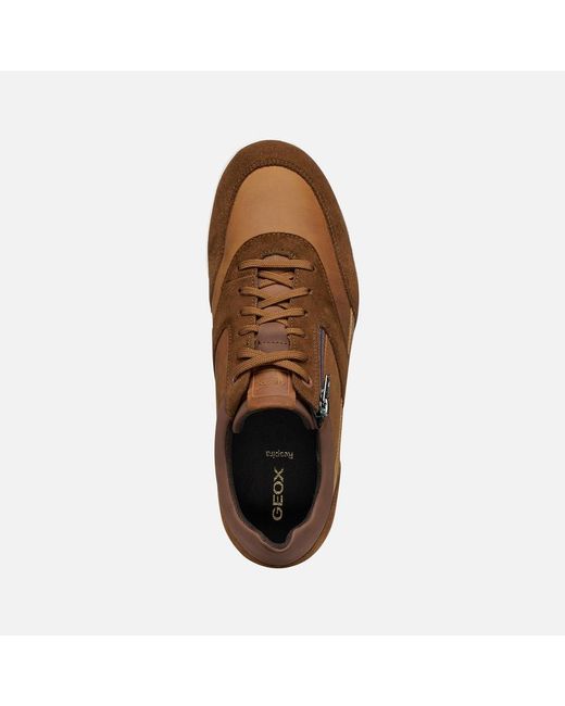 Geox Brown Renan for men
