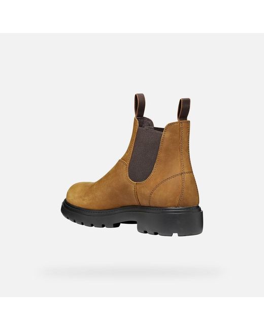 Geox Brown Spherica Ec7 B Ochre/Chocolate for men