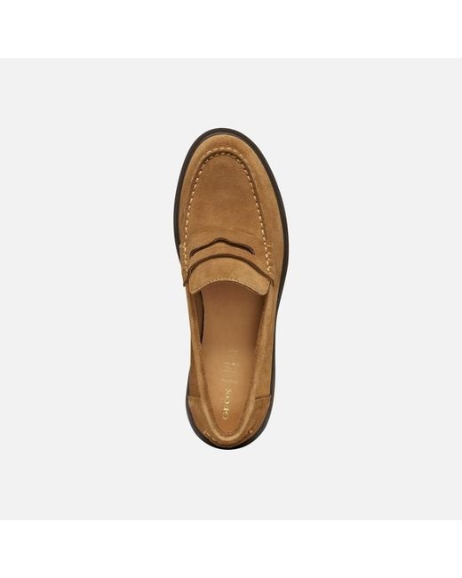 Geox Brown Spherica Ec1 B