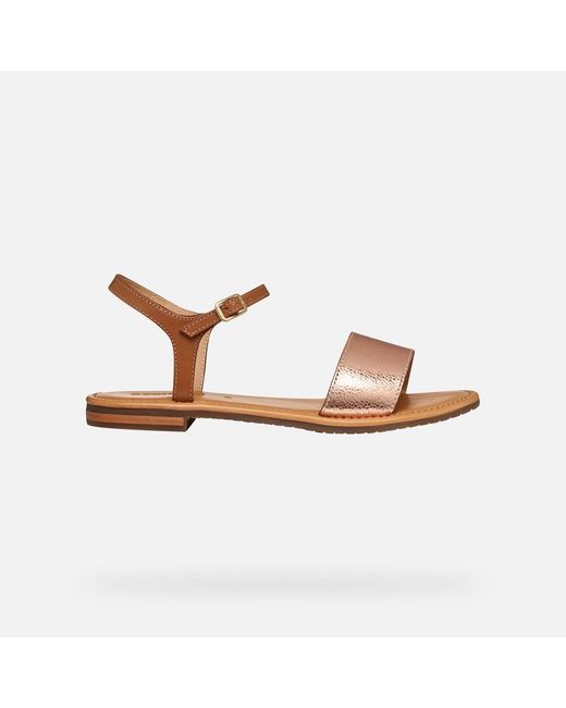 Geox Multicolor Sozy S Rose/Camel