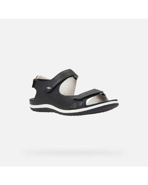 Geox Black Vega Sandal