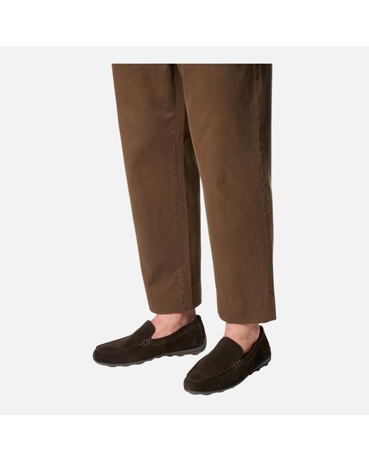 Geox Brown Spherica Ec16 for men