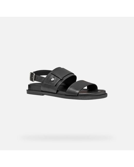 Geox Black Adelash