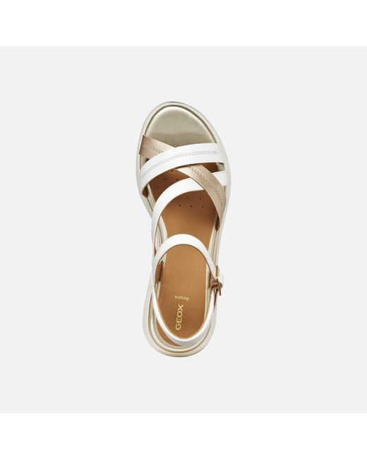 Geox Metallic Elowynne