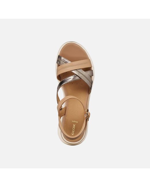 Geox Metallic Elowynne