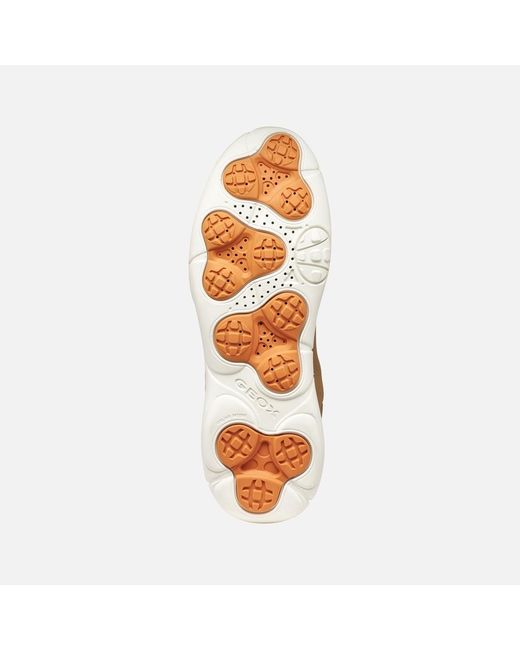Geox Brown Nebula 2.0 Plus for men