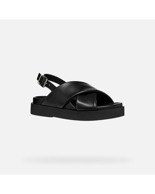Geox Black Adelash H