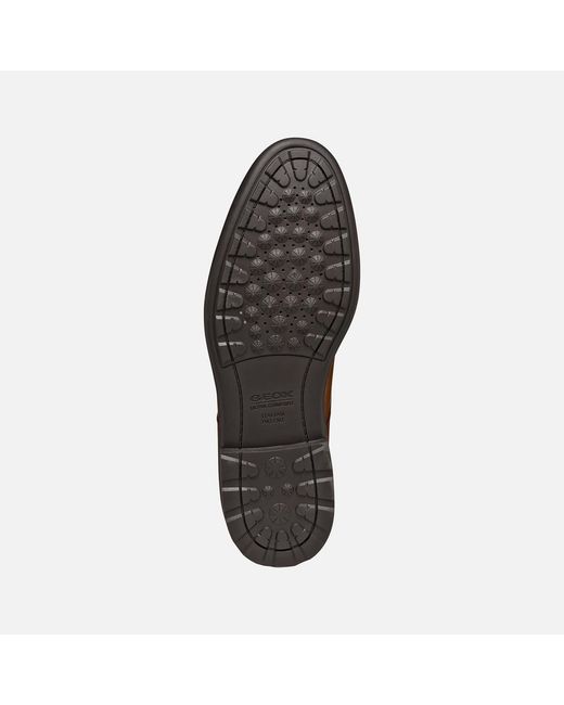 Geox Brown Walk Pleasure B for men