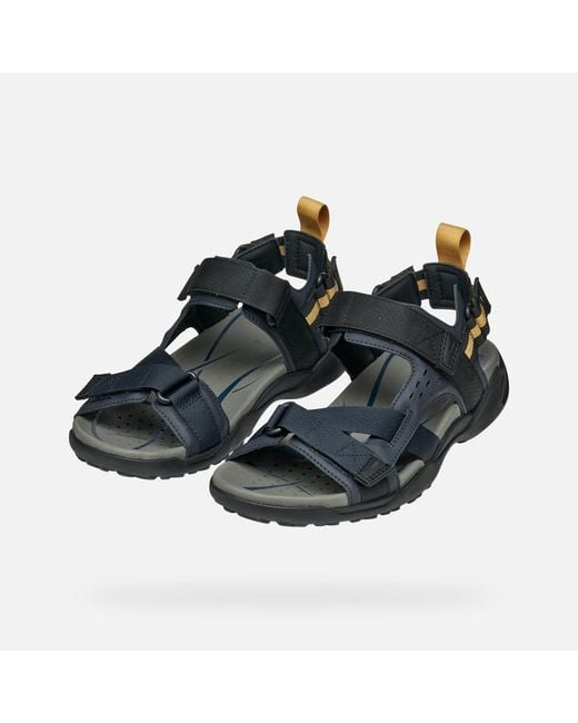 Geox Blue Terreno + Grip for men