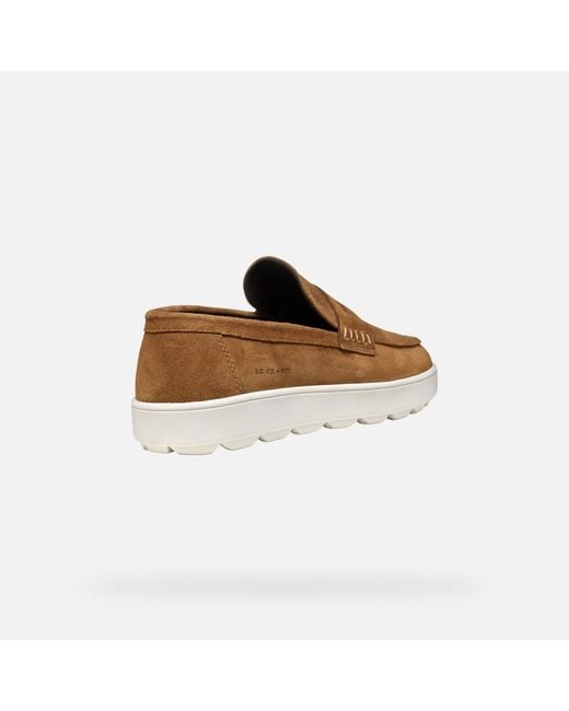 Geox Brown Spherica Ecub-1 for men