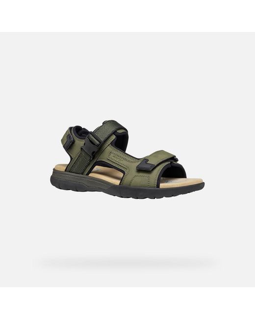 Geox Green Spherica Ec5 for men