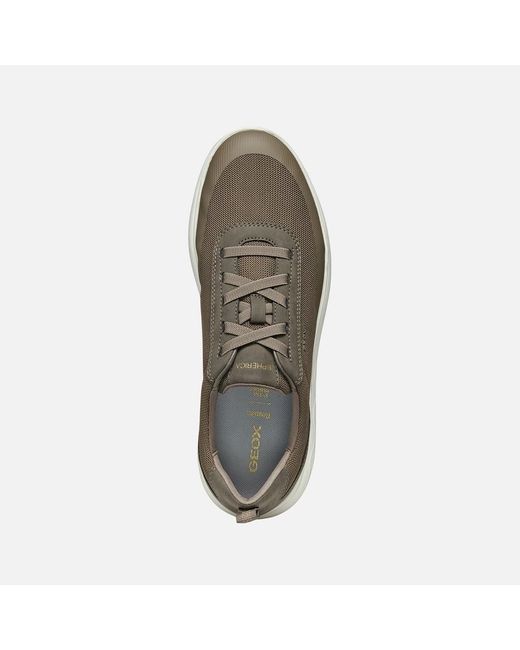 Geox Brown Spherica for men