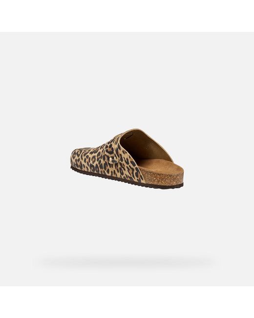 Geox Brown Brionia R