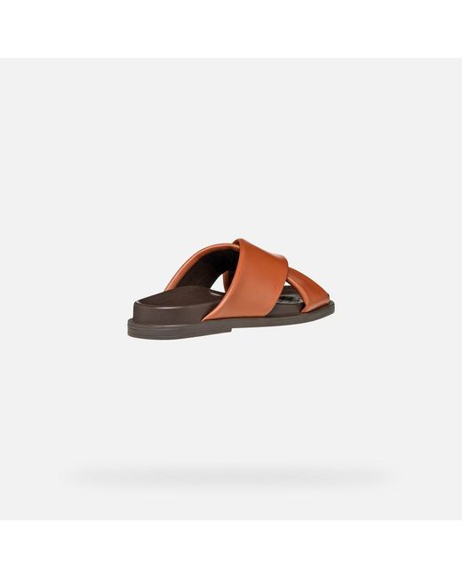 Geox Brown Adelash