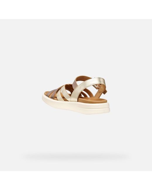 Geox Metallic Xand 2S