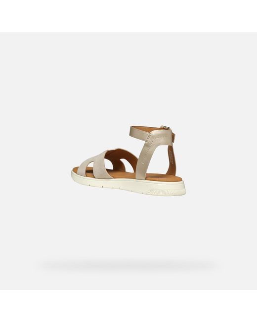 Geox Metallic Dandra