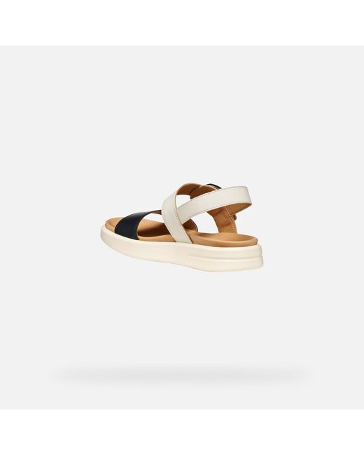 Geox Metallic Xand 2S