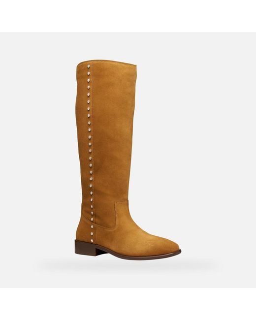 Geox Brown Eliebeth