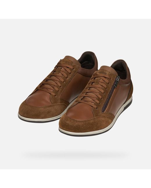 Geox Brown Renan for men