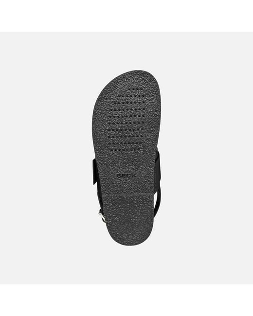 Geox Black Adelash